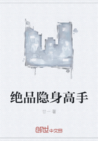 雷电将军安慰部下插画