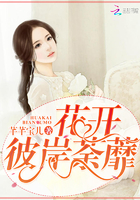 拜见宫主大人第一季免费完整版