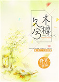 红蝎子电视剧完整版免费播放