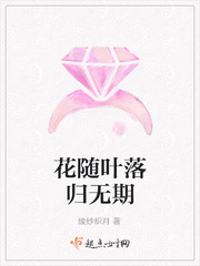 野花影视在线观看免费观看7