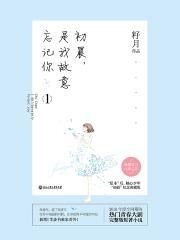 杨家将外传何春全集30