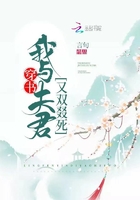 登雀枝全文免费阅读