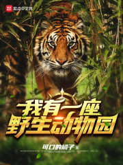三角木马惩罚室小说