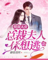 慕安安宗政御