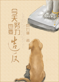 天才医生耀汉