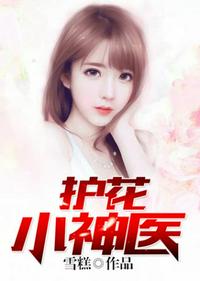 seo1短视频