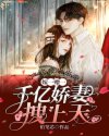 寡妇的肉体完整版