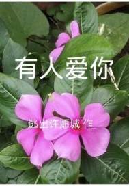 绝代芳华