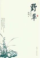 迪奥先生漫画