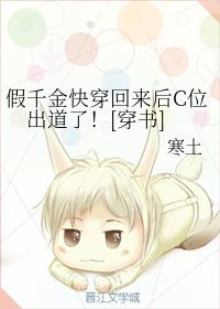 夜归人小说