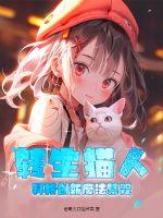 GOGOGO中国剧情介绍与评价
