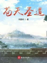 昭文君