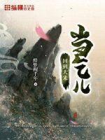 神奇宝贝之波导的圣骑士
