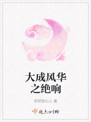 都市贵妇秦风英小说