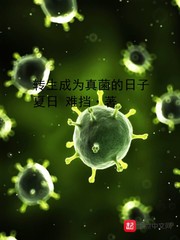 夏如卿锦绣深宫全文免费阅读
