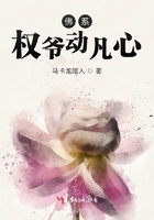 b级大片高清完整版