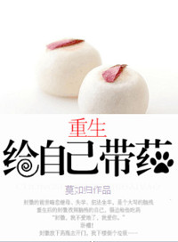 红杏砸墙txt