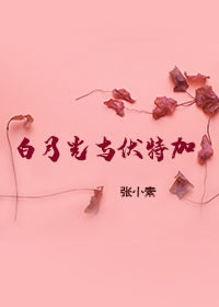 米璐璐小说
