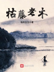 by28777域名查询