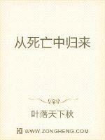 傻子h