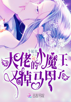 昭阳趣史