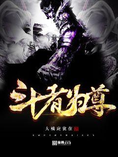 新世纪动漫网