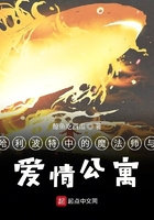 丢了猫千万别找为什么