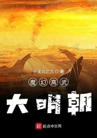 038ee猫咪改了什么网址