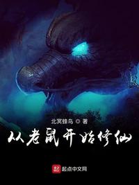 陨石之恋免费阅读