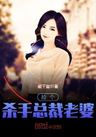 野狗和大美人的故事