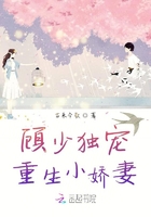 女主是男主养的小三po