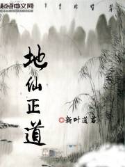 雌猫们