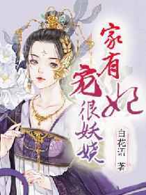 雷电将军安慰部下插画