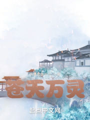 2024押尾猫视频在线