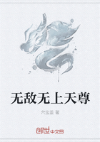 黑帮大佬的365天第三季在线播放