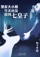 飞蚂蚁