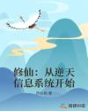 将军家的小娘子小说