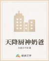 攻惩罚受骑木马一整晚