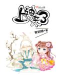 御美宝典全文免费阅读网