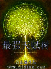 水氏杨花与十二轿夫