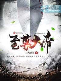 日本高清理论片在线看