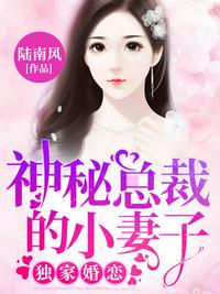 安安的小说