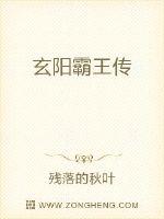 海贼王加洛特本子