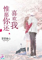 孽海花传奇