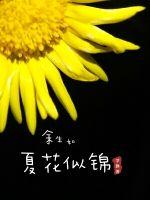 多多影院高清电影
