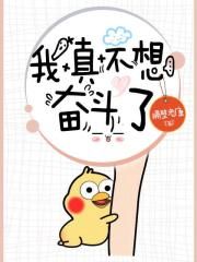 乔家的儿女小说