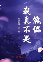 金秘书为何这样
