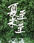 动漫御姐福利诱惑