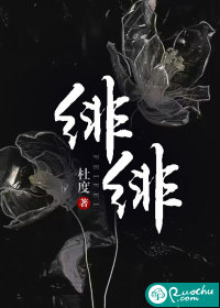 乱母小说