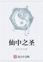 楠迪宗拉维蒙